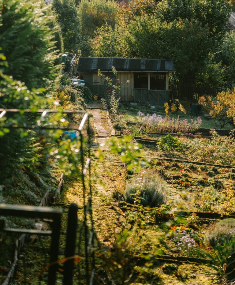 Kleingartenversicherung schützt Gartenhaus, Laube und Inventar im Schrebergarten