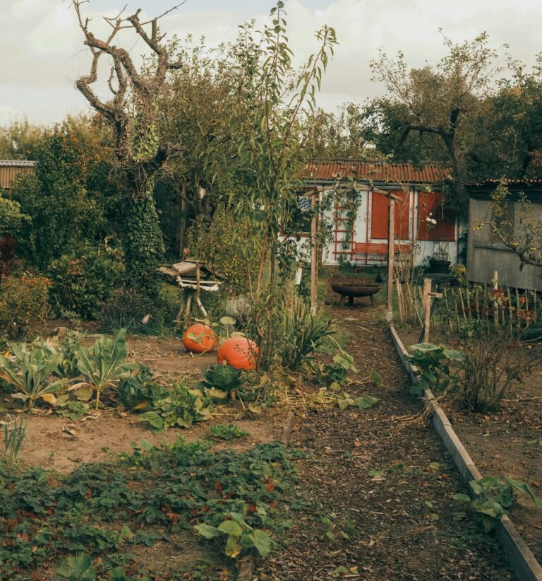 Gartenhaus absichern mit Kleingartenversicherung