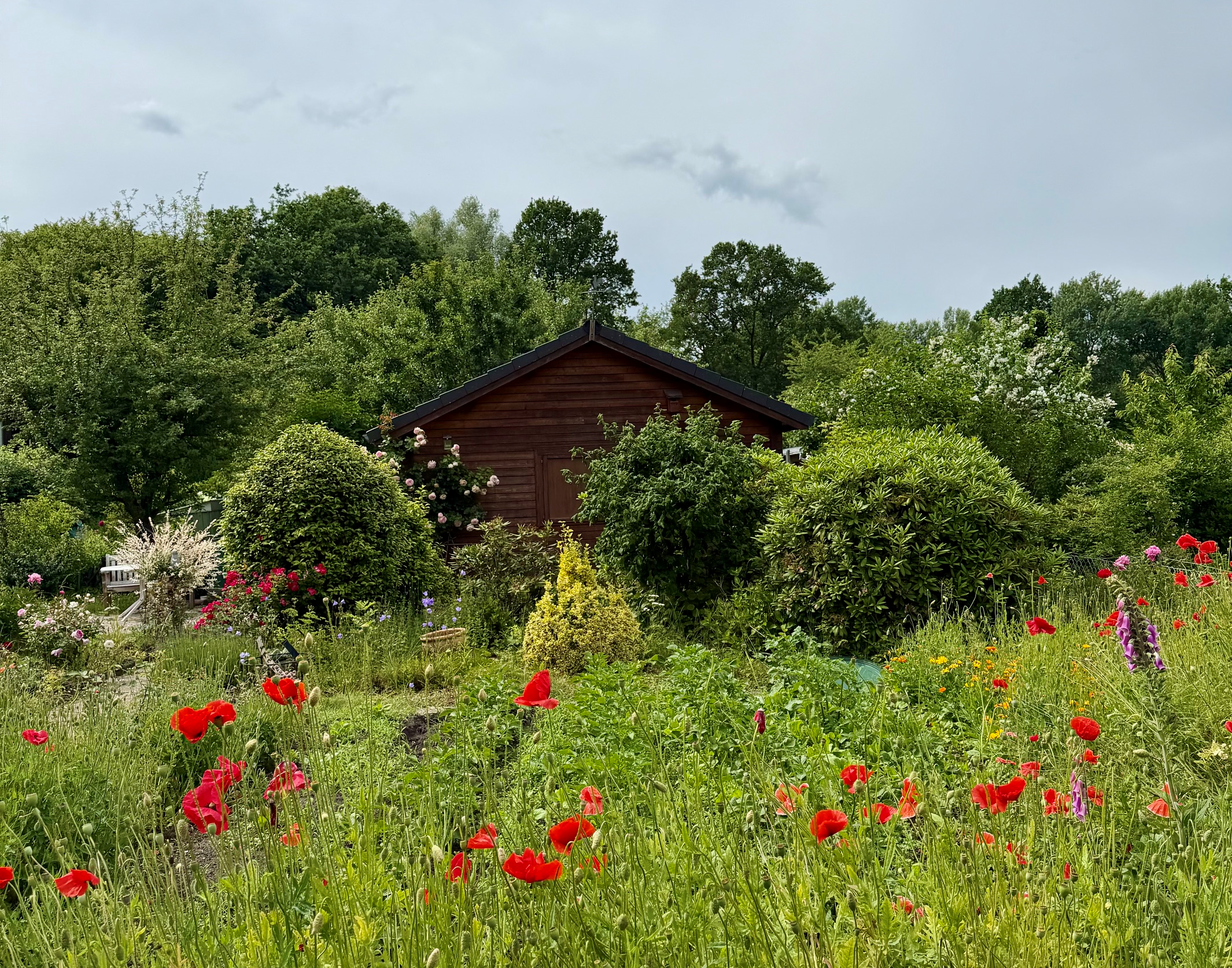 Beste Laubenversicherung für Laube im Kleingarten mit Terrasse, Hausrat, Glas und gepflegtem Außenbereich